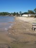 Lake Livingston Drought Oct 2nd 2009 010-2.jpg